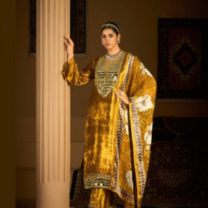 Velvet Designer Salwar Suits