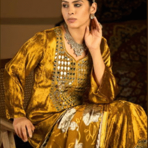 Velvet Designer Salwar Suits